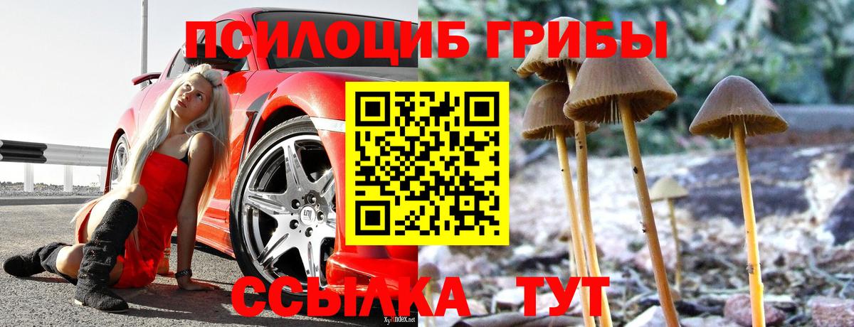 Псилоцибиновые грибы Magic Shrooms  как найти   Донецк  Вход с VPN 